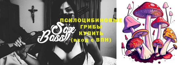 твердый Аркадак