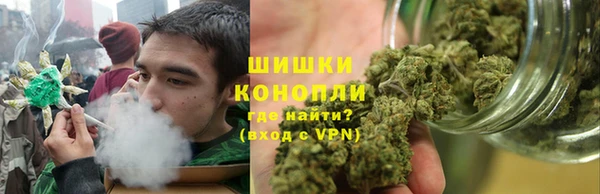 твердый Аркадак