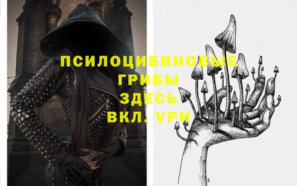 твердый Аркадак