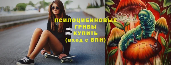 твердый Аркадак