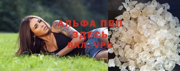 твердый Аркадак