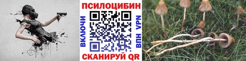 Галлюциногенные грибы мицелий  сайты даркнета какой сайт  Мариинск 